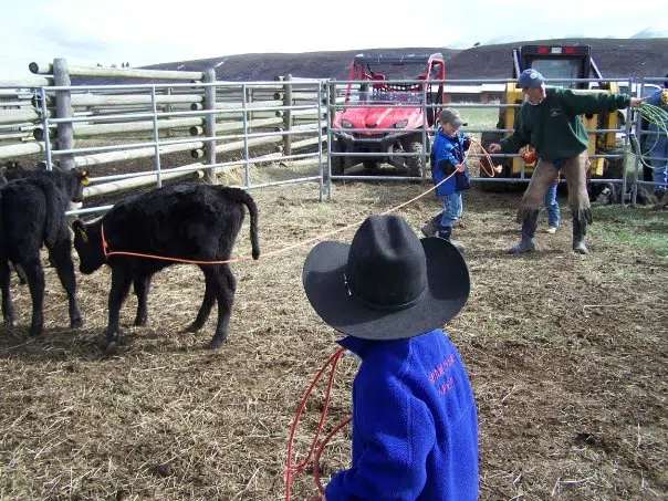 brayden-and-his-first-calf-roped