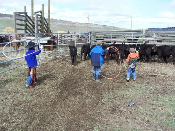 the-boys-roping-their-first-calf