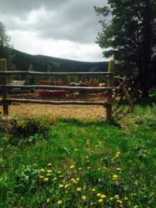 Our new top corral. Our brand new arena will also be used to give you guys any lessons, and we have added a larger round pen so everyone can watch our wonderful wranglers work with their horses!