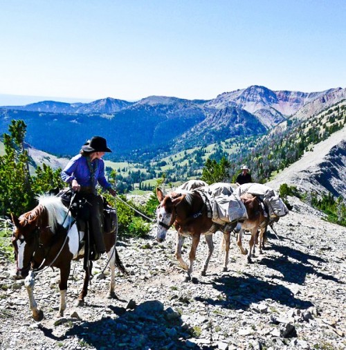 Montana Pack Trips - Covered Wagon Ranch (Gallatin Gateway, MT) Covered ...