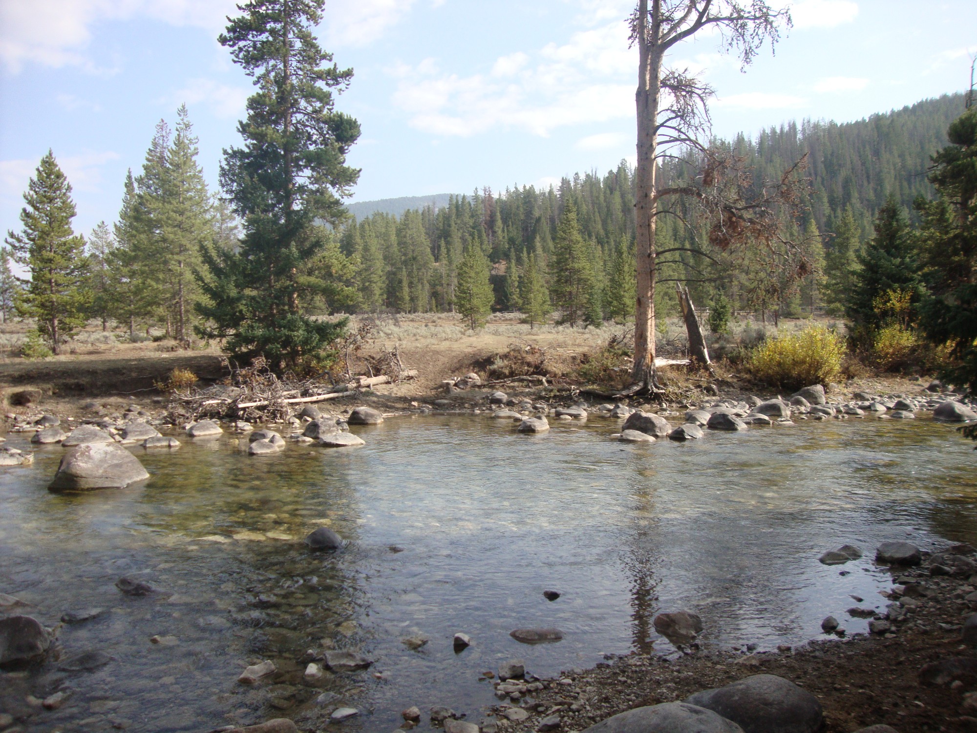 Why Choose CWR A Personal Experience Covered Wagon Ranch