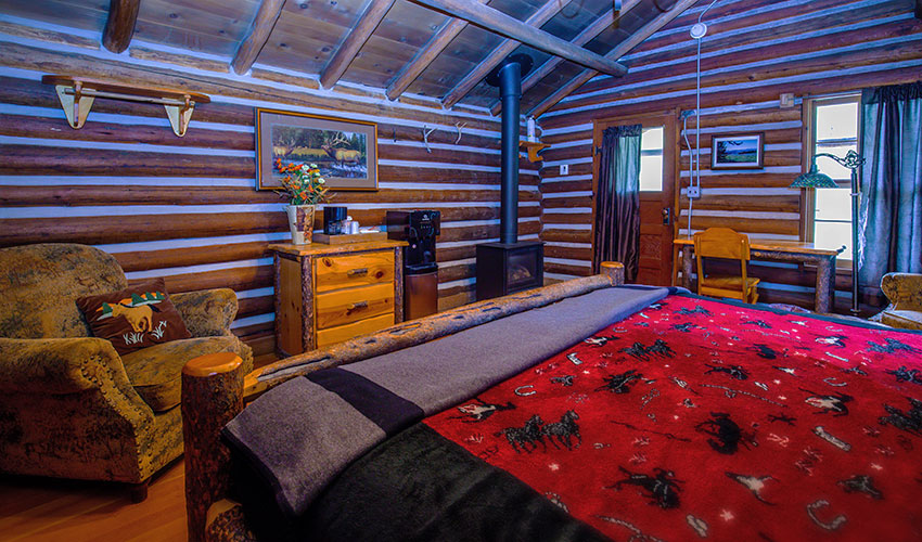 Meaow cabin interior