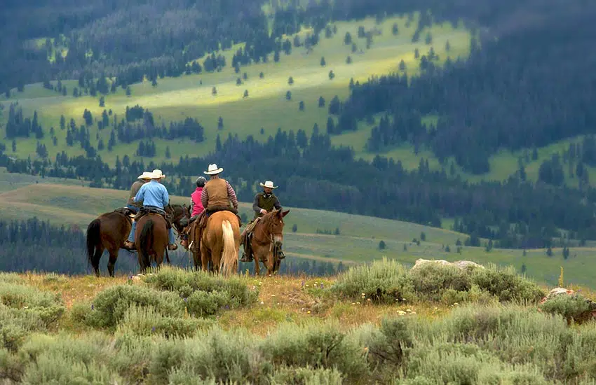 Montana horseback riding