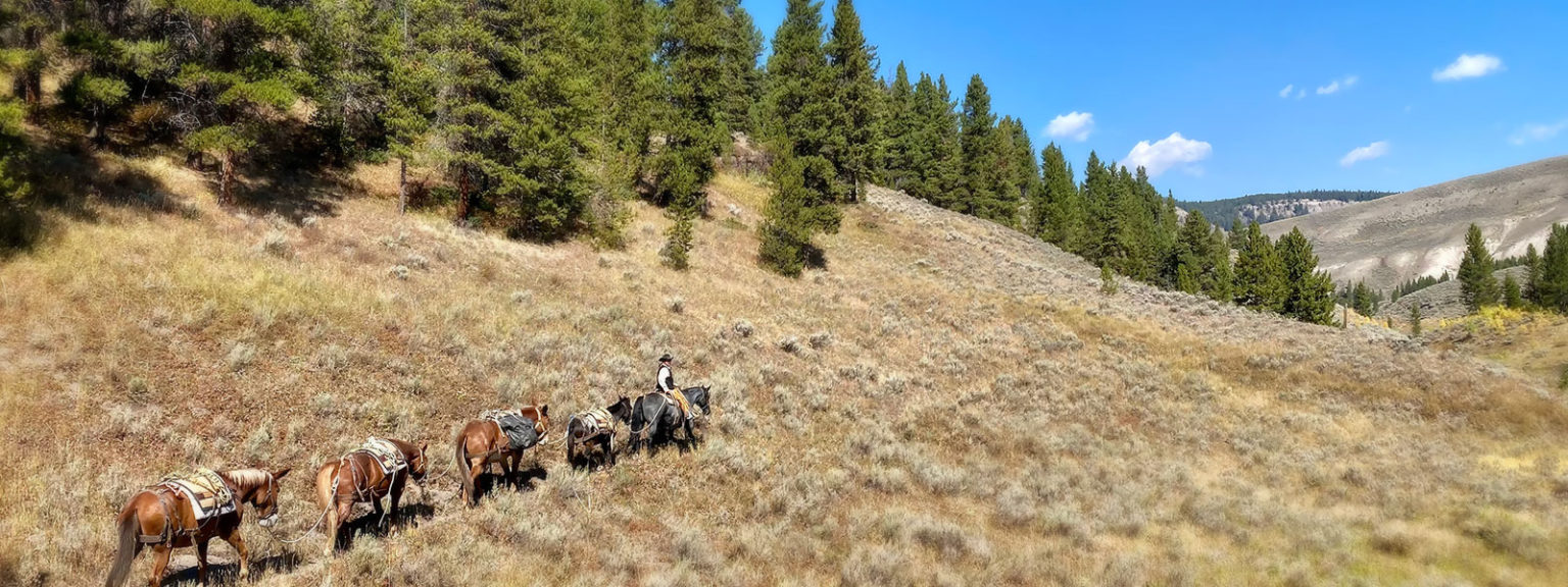 Montana dude ranch jobs from Covered Wagon Ranch