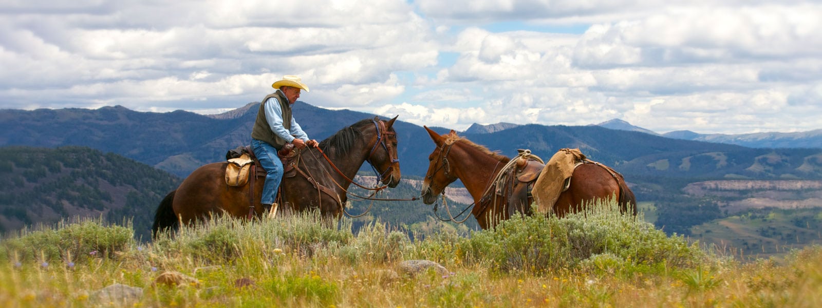 man on horseback in Montana
