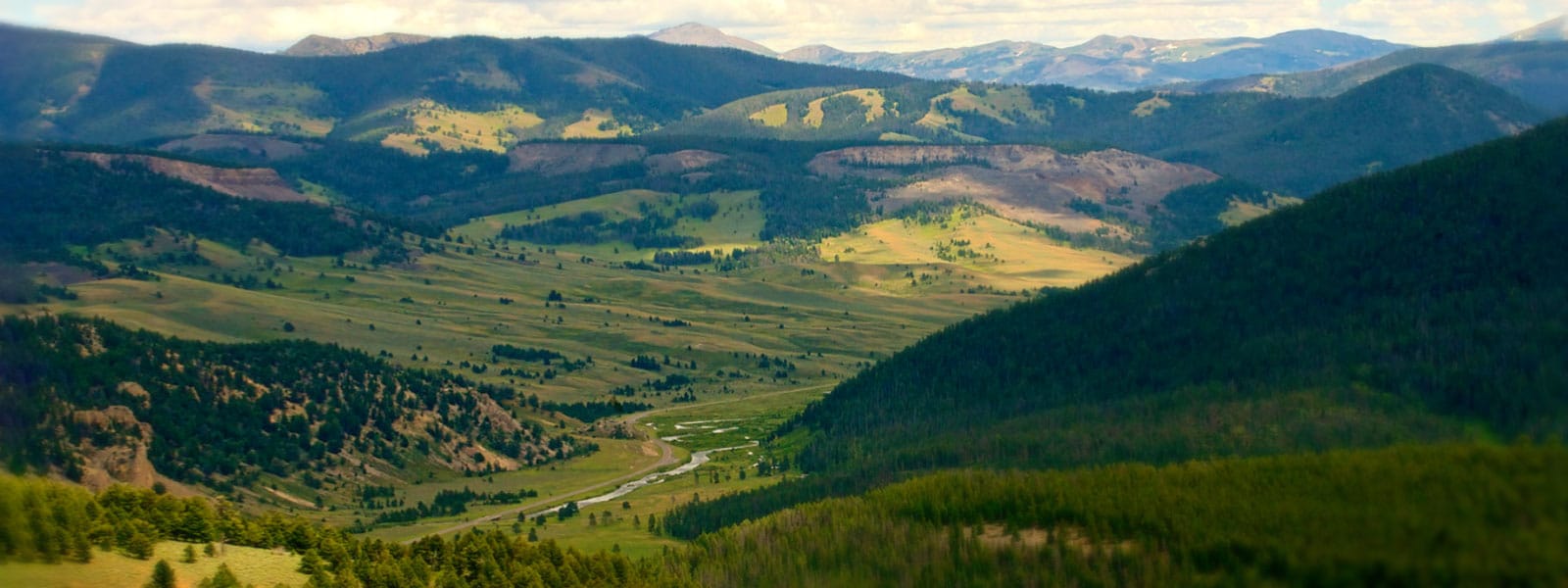 Montana backcountry vista