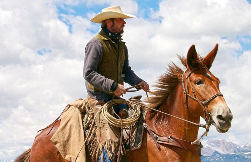 Covered Wagon Ranch, the BEST Family Dude Ranch near Yellowstone