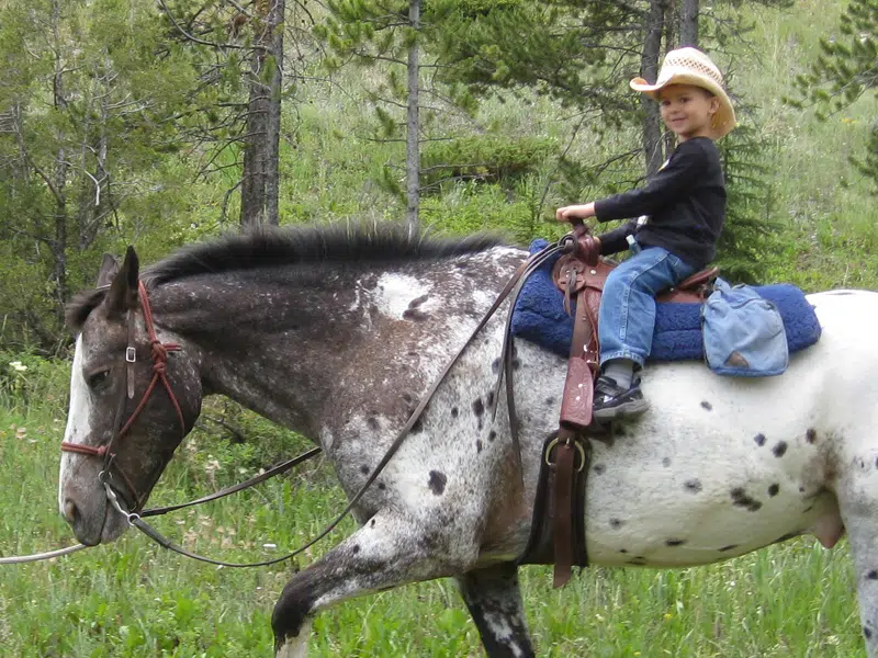 boy on horseback
