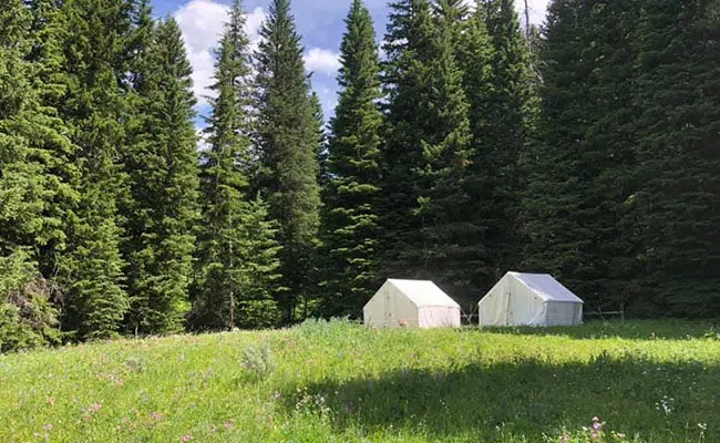 tent site for backcountry packtrips