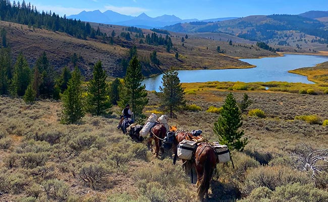 pack trip into Montana backcountry