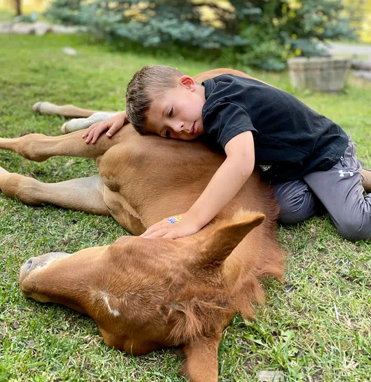 boy hugging horse